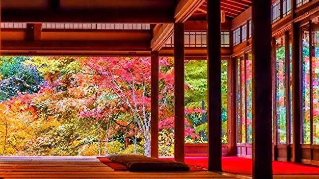 Japanese Autumn background 2