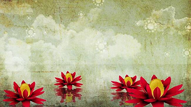 Lotus Flower background 2