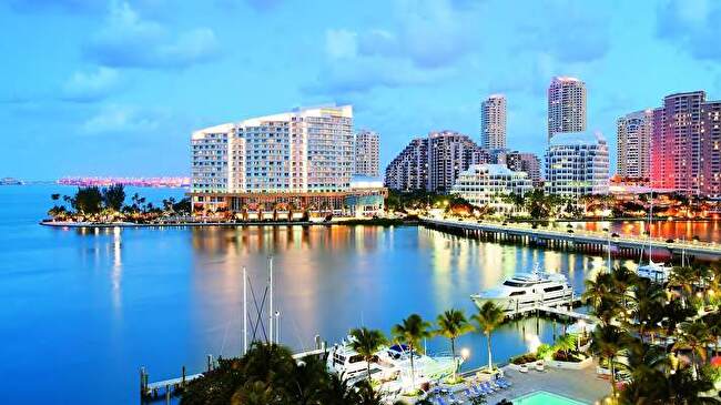 Miami background 3