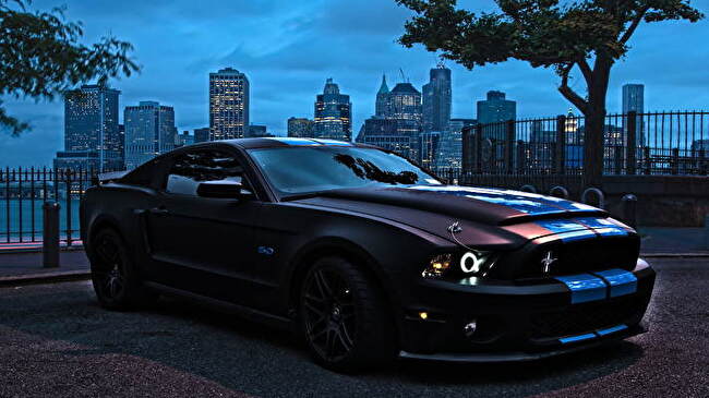 Mustang background 2