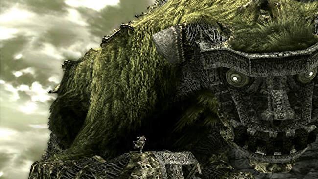 Shadow Colossus background 2