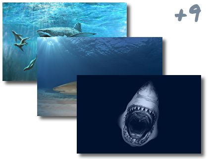 Sharks theme pack