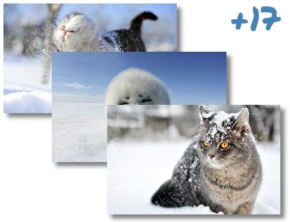 Snow and Animals theme pack