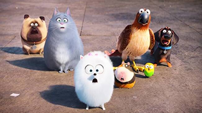 The Secret Life of Pets background 1