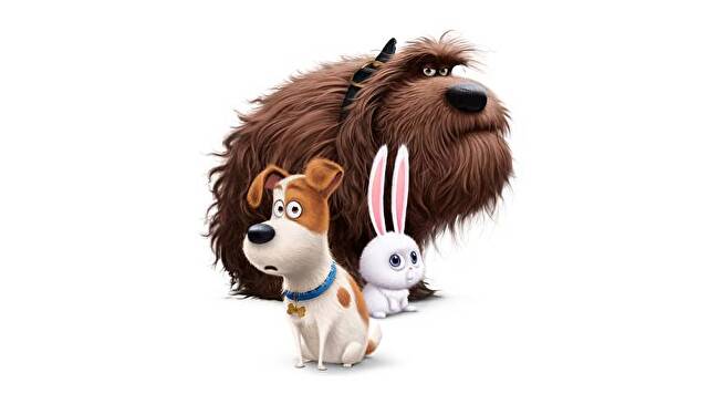 The Secret Life of Pets background 2