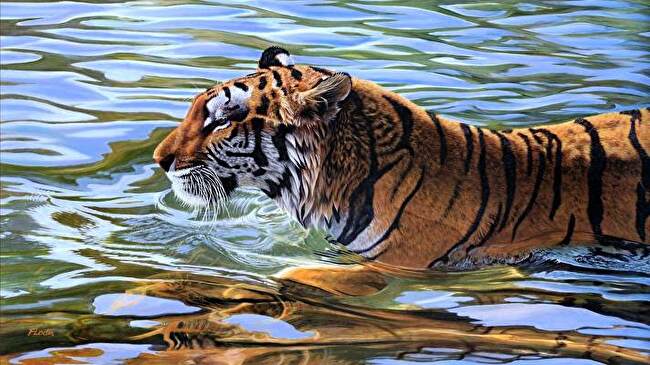 Tiger background 2