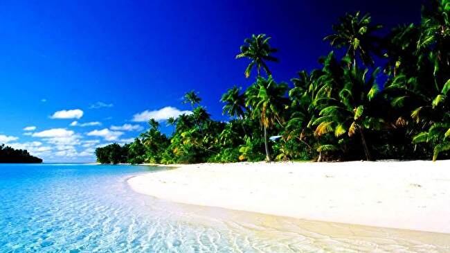 Tropical Paradise background 1