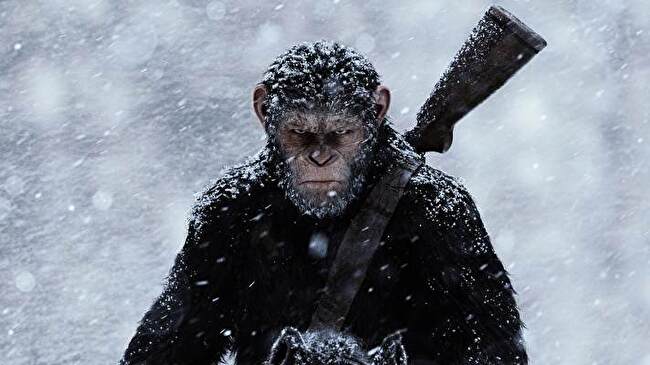 War for The Planet of The Apes background 1