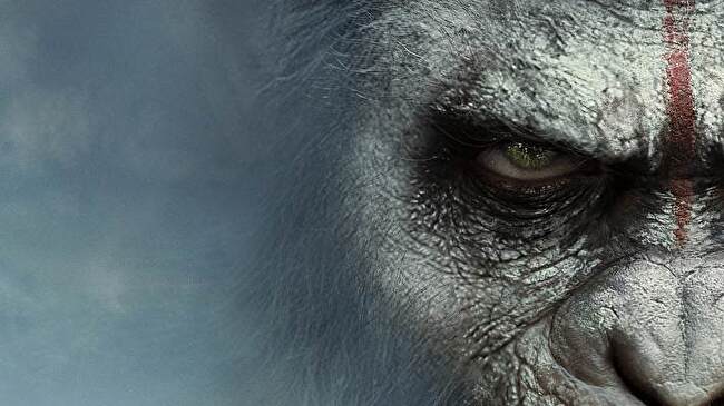 War for The Planet of The Apes background 2
