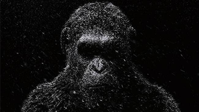 War for The Planet of The Apes background 3